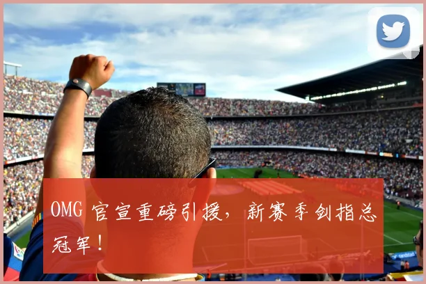 OMG 官宣重磅引援，新赛季剑指总冠军！
