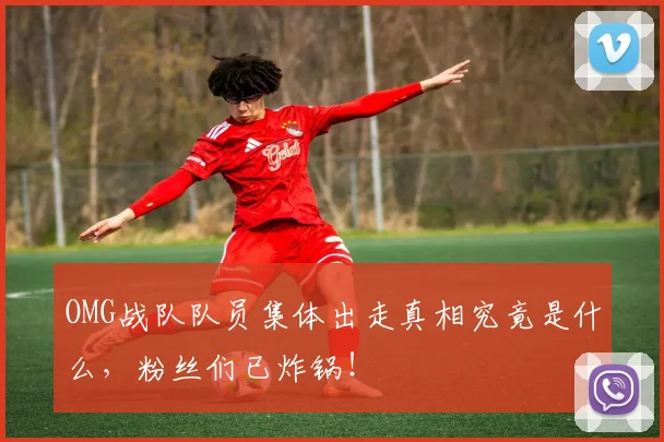 OMG战队队员集体出走真相究竟是什么，粉丝们已炸锅！